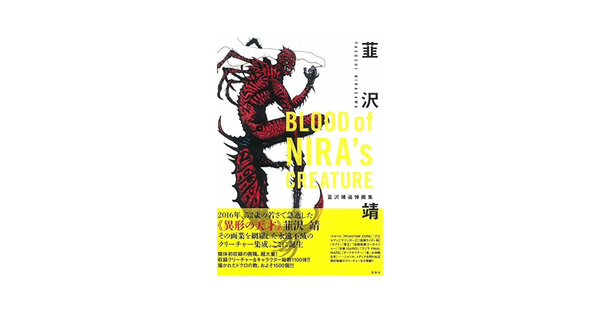 Amazon.com: Japanese illustrator Yasushi Nirasawa Art Works
