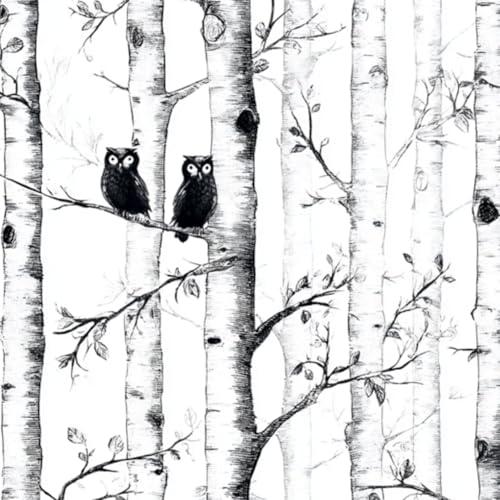 壁紙 60cm x 300cm 剥がせる 白黒のスケッチスタイルで描かれたカバノキの木に止まるフクロウ 多機能 防水/汚れ防止/防油 食器棚 クロ 玄関 ふすま紙 家具 部屋 DIY 賃貸OK