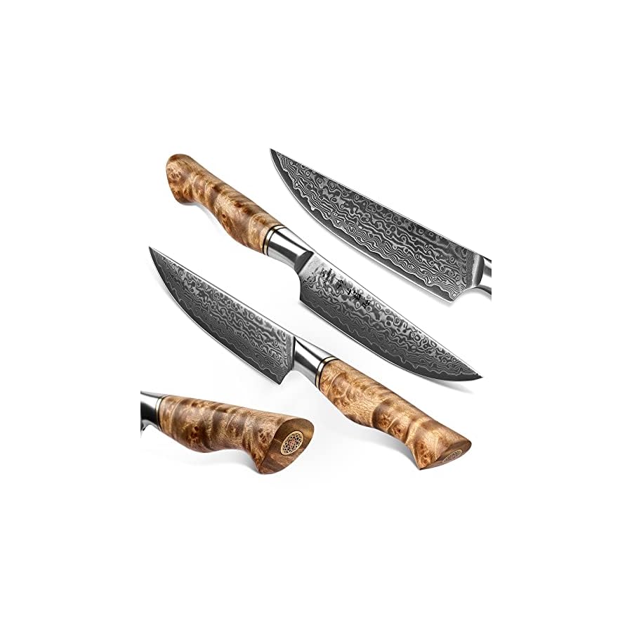 HEZHEN-6PCS-Kitchen-Knife-Set-Professional-Forged-Damascus-High-Carbon-Steel-Steak-Knife-Figured-Sycamore-Wood-Handle-Porcelain-Gift-Package HEZHEN 6PCS Kitchen Knife Set Professional Forged Damascus High Carbon Steel Steak Knife Figured Sycamore Wood Handle-Porcelain Gift Package
