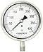 Ashcroft Duralife Type 1009 Stainless Steel Case Dry Filled Pressure Gauge, Stainless Steel Tube and Socket, 3.5" Dial Size, 1/4" NPT Lower Connection, 0/400 psi Pressure Range