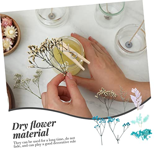 Kit de Flores Secas para Manualidades 1 set miniatura 4