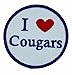 VAQ-139 Cougars Valentines Day Patch â€“ with Hook and Loop, 3