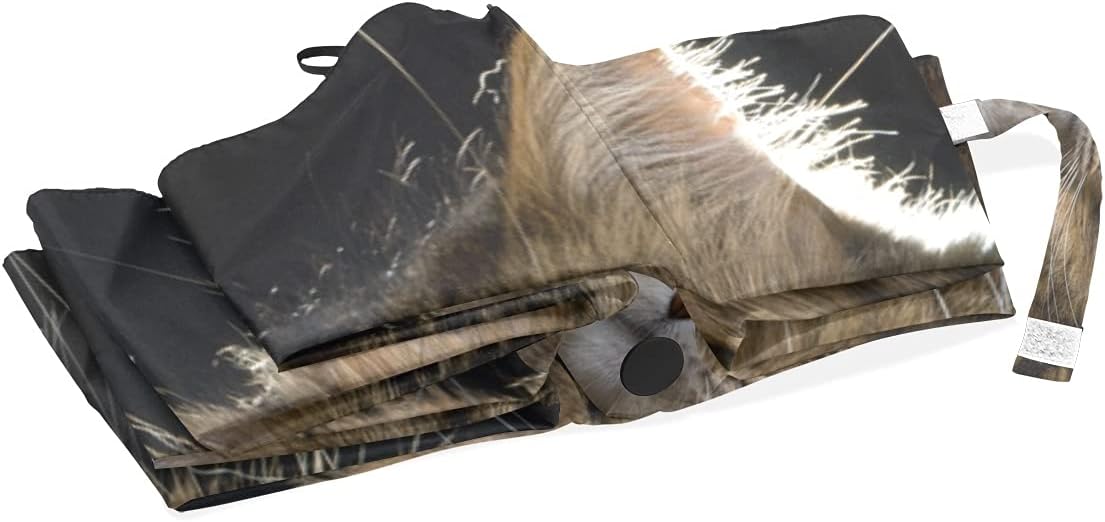 Bolaz Black Compact Travel Umbrella Maine Coon Cat Auto Open Close Umbrella Windproof Anti-UV