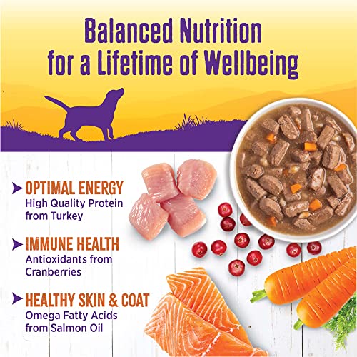 Image of Wellness Complete Health Stew Adult Canned Wet Dog Food, Grain Free, Natural, Turkey Recipe, 12.5 oz, Pack of 12 Cans