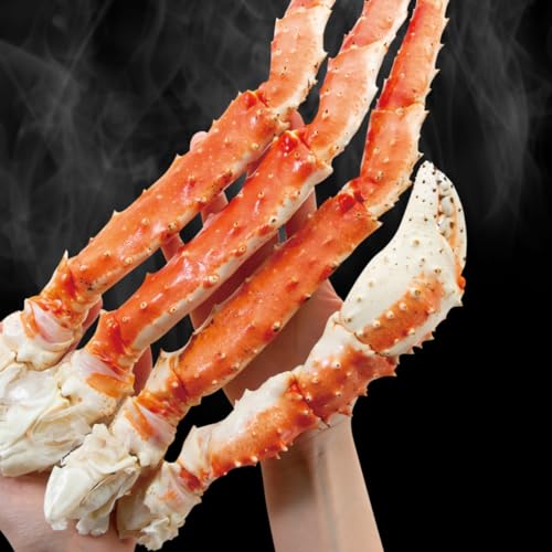 ��쐅�Y �^���o�I�r 1.6kg ����� �^���o ����ΊI �^���o�K�j �J�j �I ���� �r �M�t�g