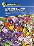  Kletternde Gärten einjährig von Kiepenkerl