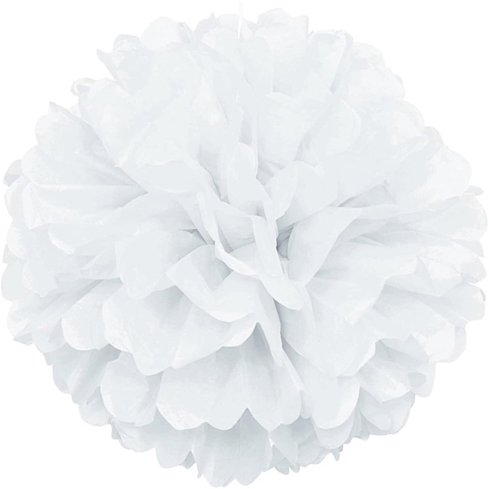 Paper Pompom 5pcs Wedding Decorative Paper Pompoms Pom Poms Flower Ball Party Home Decor Tissue Birthday DIY for Party(Color-01,25cm 5pcs)