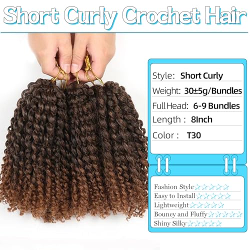 6 Ciocche Di Capelli Corti Con Ricci A Spirale Stile Passion Twist All'uncinetto Da 20 Cm, Extension Di Capelli Ricci Per Donne Di Colore (6 Ciocche Da 20 Cm, 1B/30) - 2