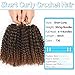 8 Inch Short Passion Twist Hair 6 Bundles Kinky Curly Crochet Hair for Black Women Curly Braiding Hair Crochet Braids Hair（6Bundles8 Inch, 1B/30）