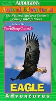 Audubon's Animal Adventures 0783110790 Book Cover