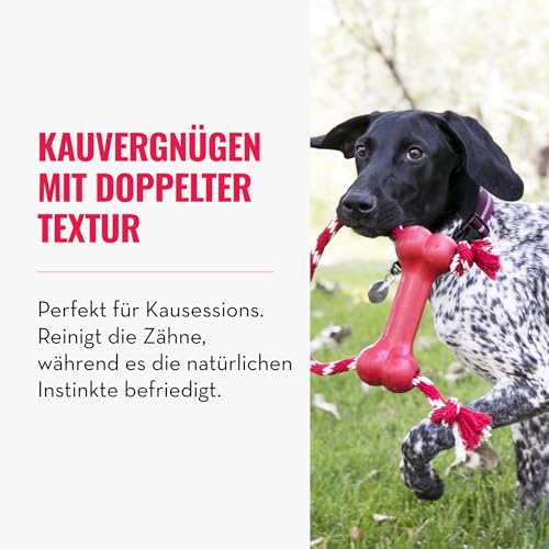 KONG Goodie Bone mit Seil - Klassischer strapazierfähiger Hundeknochen aus Naturkautschuk - Leckerlispender - Für XS Hunde - Rot