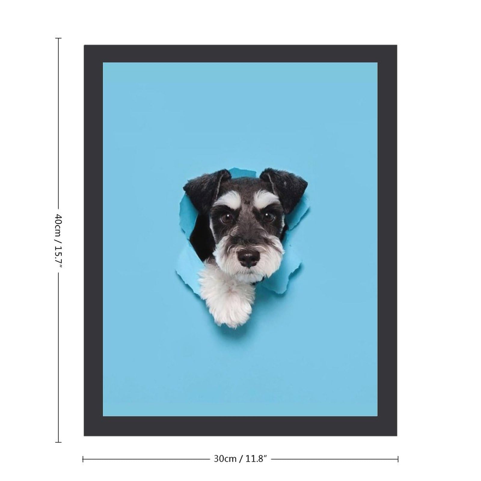Amazon.co.jp: 穴から外を見つめるシュナウザー犬 絵画 絵 かわいい 