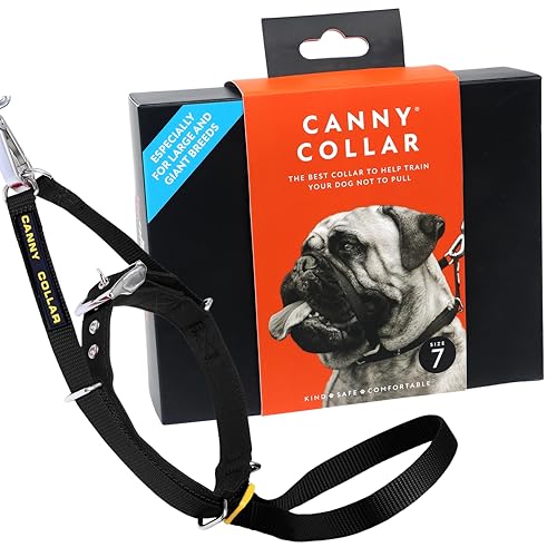 Canny Collar Hundehalsband
