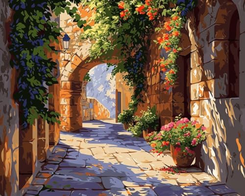 Image of Moohue DIY Counted Stamped Cross Stitch Kits for Adults 14 Count Cross Stitch Patterns Printed Cross Stitch Kits for Adults (Narrow Alley)