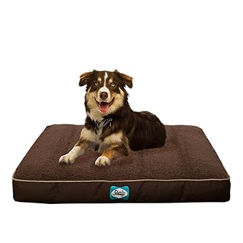 Sealy Cushy Comfy Pet Dog Bed | Memory and Orthopedic Foam with Cooling Energy Gel Dog Pet Bed with Machine Washable Sherpa top and Water Resistant Inner Liner, Medium Brown