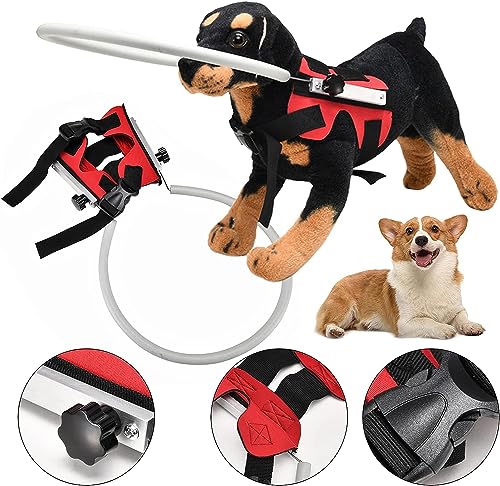 Mascotas, Imagen adicional