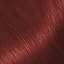 R3 Light Intense Auburn (Red Hibiscus)