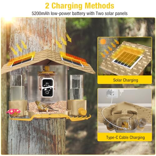 Aivituvin Bird Feeder Camera with AI Identification, Solar Powered, Wireless Hummingbird Feeder with Food, Water, Honey, Present for Bird Lovers by Aivituvin - Image 4