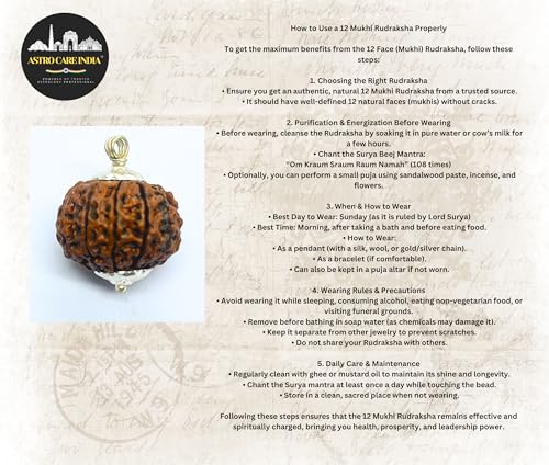 Image of 12 Mukhi Rudraksha Original Certified IGL Pendant 12 Face Natural Twelve Mukhi Rudraksha Original Nepal