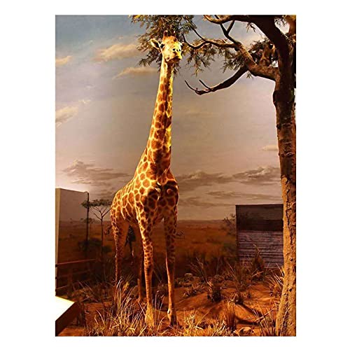 Broderie diamant girafe toile anti-plis et strass brillants haute précision