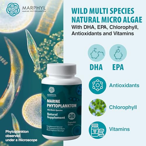 MARPHYL Marine Phytoplankton Supplement, 30 Vegan Capsules, Wild Multi Species Natural Micro Algae with DHA, EPA, Chlorophyll, Antioxidant and more. 150 mg per Serving - Image 3