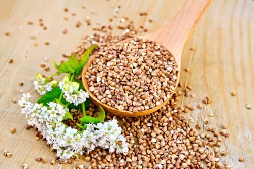 müsli.de BIO Buchweizenflocken 1x3 kg, für eine vegane Ernährung geeignet. Aromatisch nussiger Geschmack. Unterstützt Deine basische Ernährung!