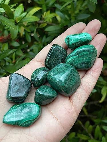 Image of GAF TREASURES 1 /2 LB Malachite Tumbled Stones, Polished Natural Malachite Gemstone, Malachite Healing Crystals (Malachite)
