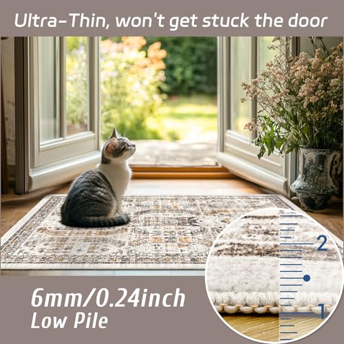 Madane Washable Area Rug 2x3, Small Entryway Rug Non-Slip Vintage Door Mat Indoor Entrance, Low Pile Floor Carpet for Inside Front Door Bedroom Kitchen Entry Laundry (2'x3', Brown/Gold)