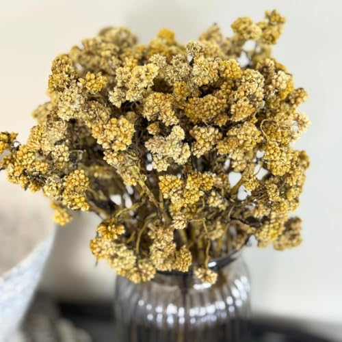 Image of Himalayan Daisy Dried Flowers | Natural Dried Blooms| 70 Grams | Naturally Preserved, Delicate & Everlasting | Perfect for Home Decor, Floral Arrangements, Bouquets & DIY Crafts(Yellow)