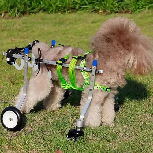 Fauteuil Roulant Chien Taille Moyenne Grande, Chariot Mobilité Rééducation 4 Roues