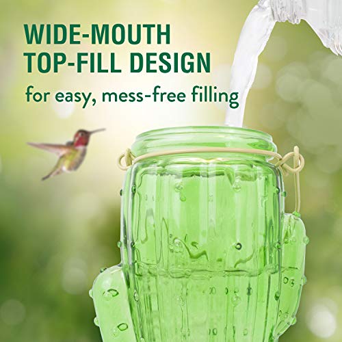 Perky-Pet 9111-1SR Cactus Top Fill Glass Hummingbird Feeder with Built-in Bee Guards & Removable Perches - Image 3