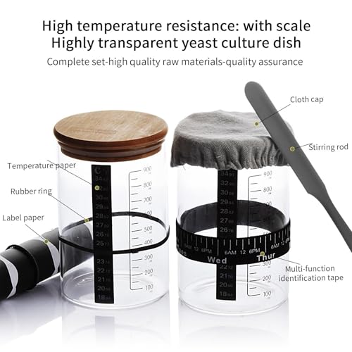 Kit de fermentación de yogur y levadura para principiantes con junta y tarro multifuncional 6