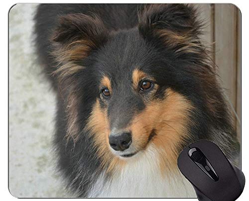 Nette Hundewelpen-Lüge aus den Grund Mausunterlage, Hundemausunterlagen