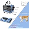 GAPZER-Pet-Carrier-for-Large-and-Medium-Cats-Soft-Sided-Pet-Carrier-for-Big-Medium-Cats-and-Puppy-Dog-Carriers-Cat-CarriersPet-Privacy-Protection-Travel-Carrier Soft Sided Pet Carrier for Big Puppy