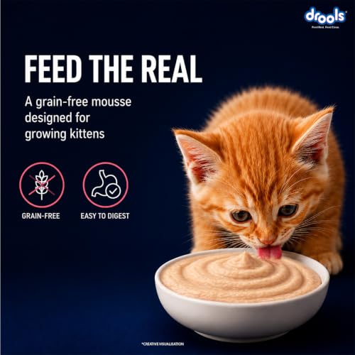 Image of Drools Kitten Wet Mousse 80g Pack of 5, 400g | Salmon Flavour | Rich in Protein | Promotes Hydration & Easy to Digest | No Artificial Flavours | Packed with Essential Vitamins & Antioxidants