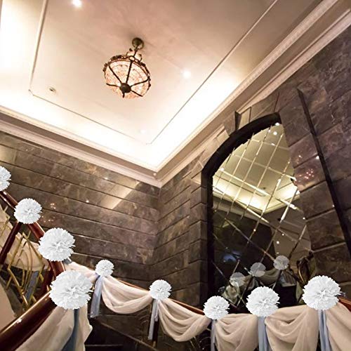 image for Lightingsky 10pcs DIY Decorative Tissue Paper Pom-poms Flowers Ball Pe