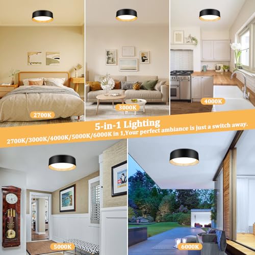 Image of Flush Mount Ceiling Light, 13in Modern Ceiling Light 5 Color Temperature