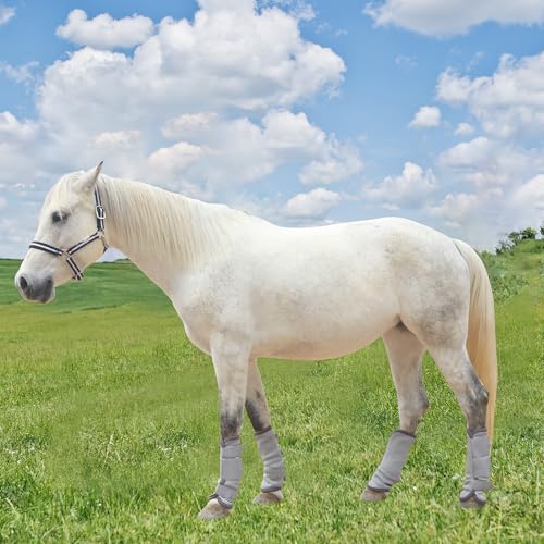 Image of Horse Fly Boots, Mesh Fly Boots for Horse Set of 4, Equine Leg Protection | Breathable Horse Leg Fly Wraps, Horse Leggings Reduce Stomping, Non-Slip Leg Guards for Mini Pony Horse Donkey