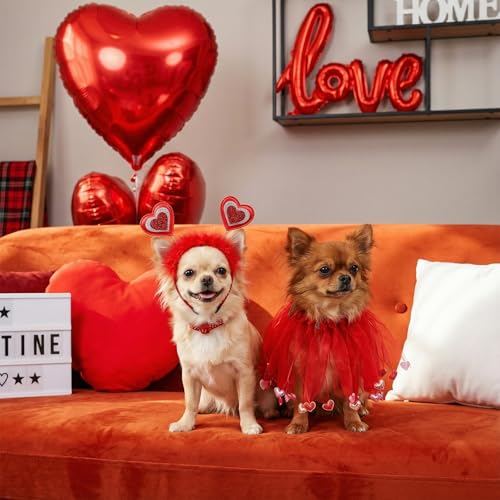 Set de 3 disfraces para perro días festivos miniatura 5