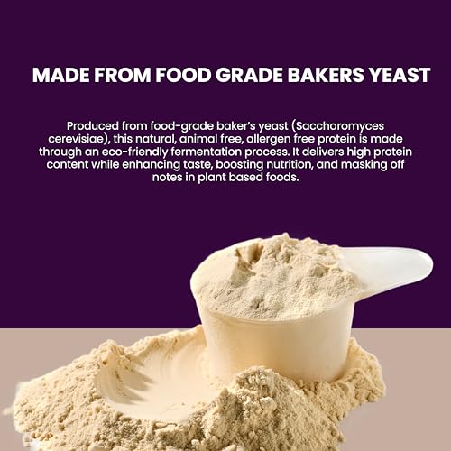 Image of Sugar.fit | Active Foods Fermented Yeast Protein Powder, Unflavored, 24g Protein per Scoop, Heat Stable, Gluten Free, Lactose Free, No Added Sugar, Vegan, 500g