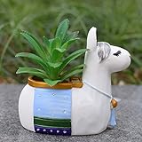 Ecosides Alpaca Shape Resin Succulent Pot, Animal Planter Plant Pot with Drainage, Cute Cartoon Animal Air Plant Vase Indoor Planter for Room Decoration