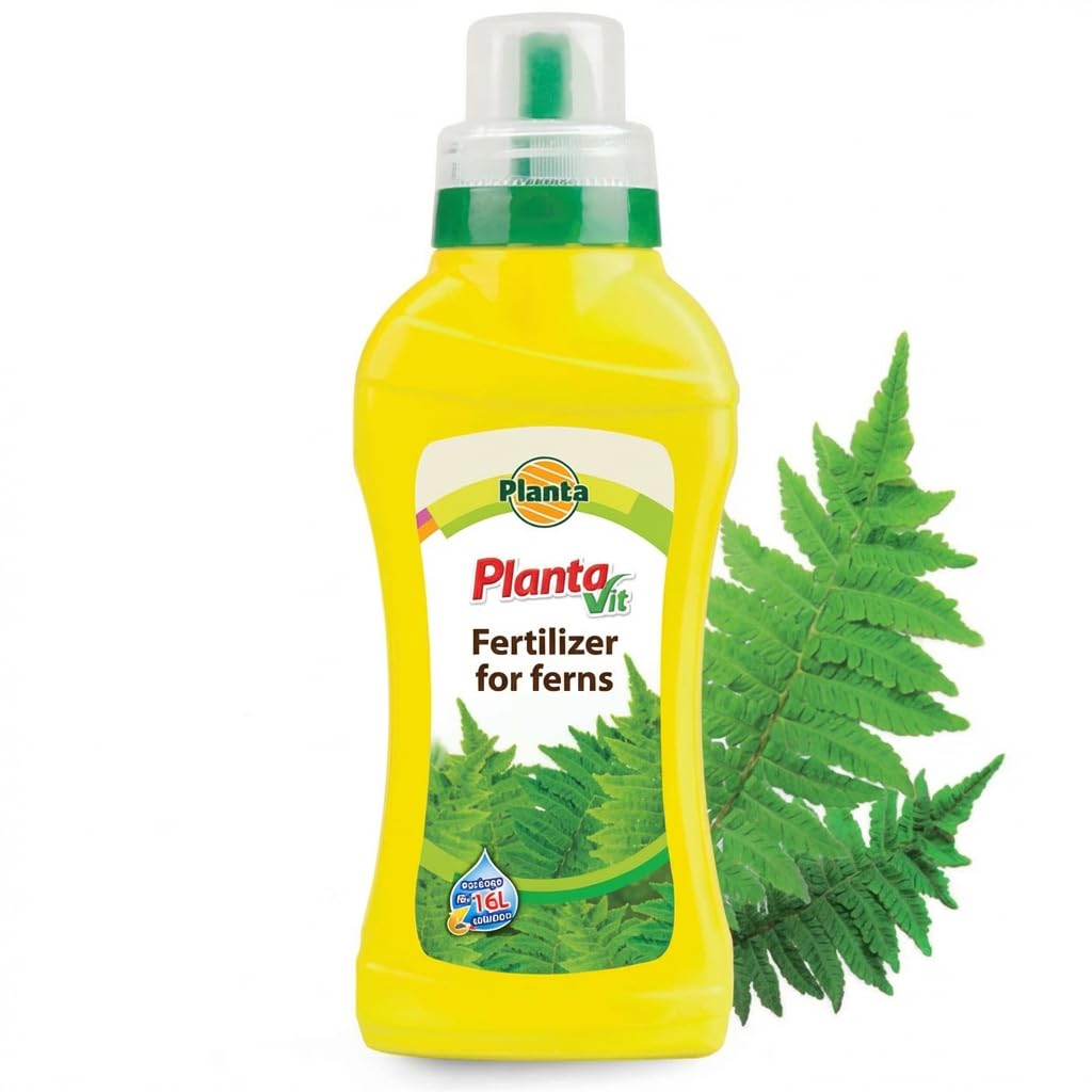 Liquid Plant Food for Ferns, 450ml Concentrate, Boosts Growth & Vibrant Green Leaves, Indoor & Outdoor Plants