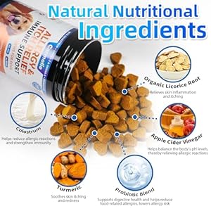 Dog Allergy Chews 200 Chews - Dog Itching Skin Relief Treatment - Omega 3 Probiotics for Dog - Itchy & Paw Licking Relief, Seasonal Allergies, Skin & Coat Immunity Supplement - Chicken Flavor Dog Allergy Chews 200 Chews Dog Itching Skin Relief Treatment Omega 3 Probiotics for Dog Itchy Paw Licking Relief Seasonal Allergies Skin Coat Immunity Supplement Chicken Flavor