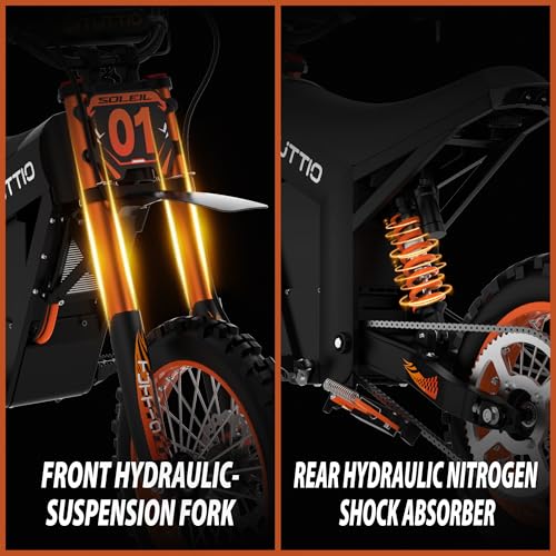 Electric Dirt Bike Teens Adults Electric Bike 48V 21AH Removable Battery with Hydraulic Brakes (21AH Dirt Bike)