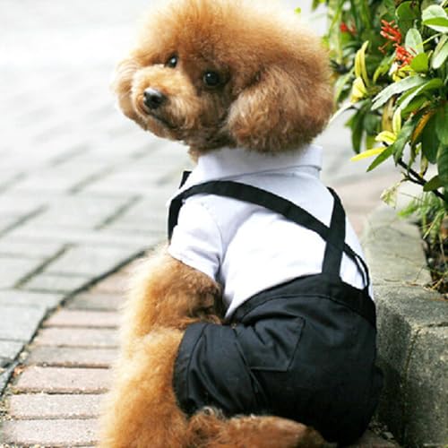 Disfraz Formal para Perro XL con Moño y Tirantes miniatura 3