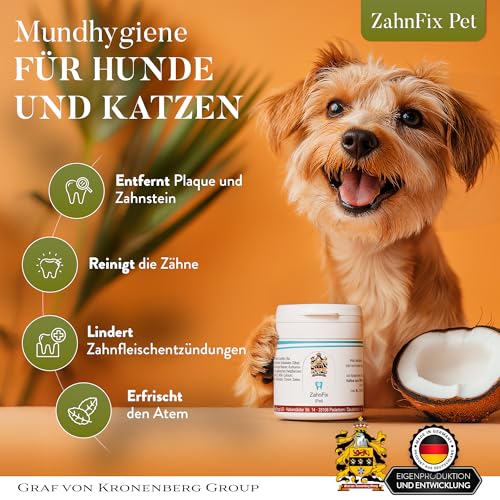 Pet ZahnFix Revital Liposomal Zahnpasta für Hunde und Katzen – 40ml natürliches Zahngel gegen Zahnstein & Zahnfleischentzündung – enzymatische Hundezahnpasta ohne Xylit mit Kurkuma, Kokosöl