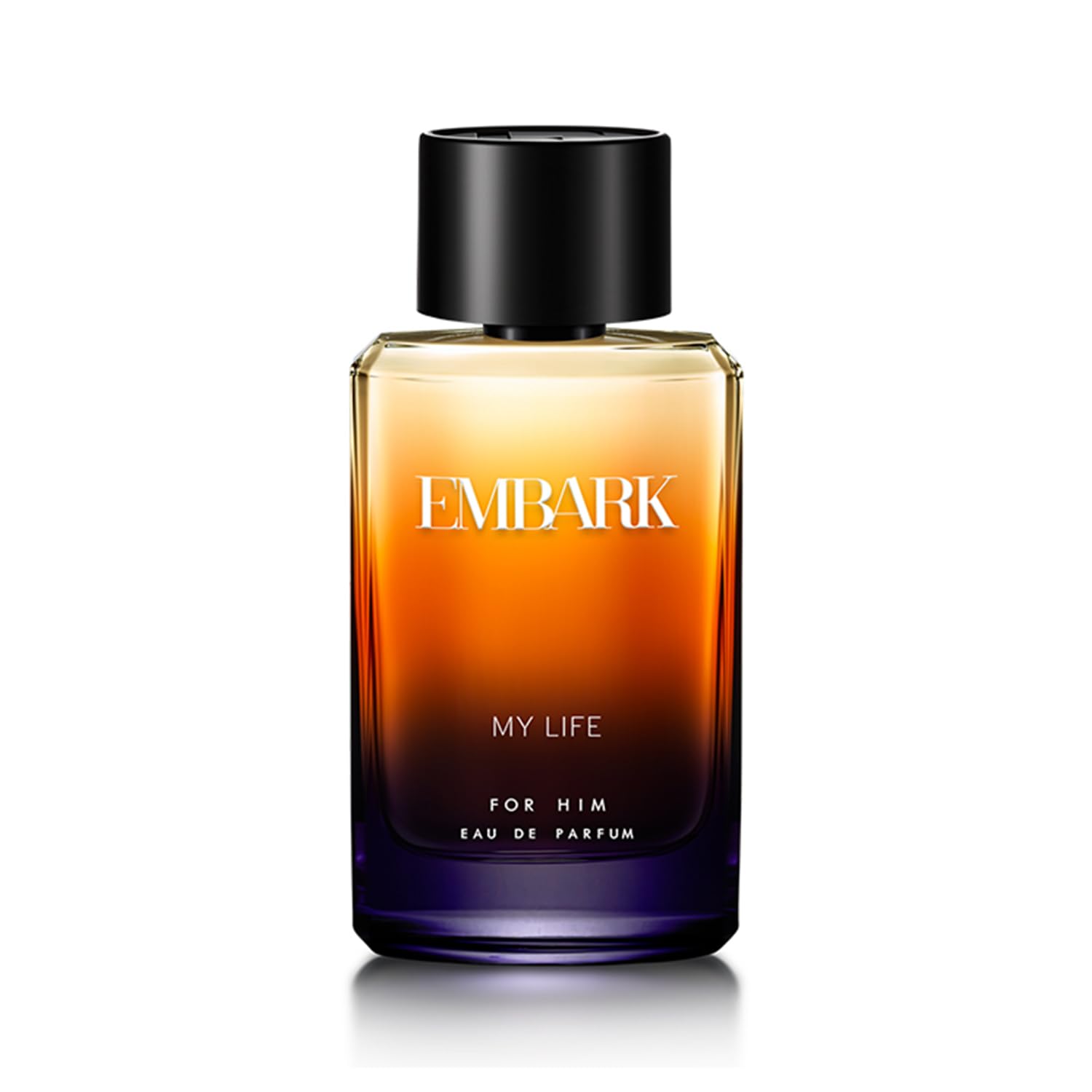 EMBARK My Life Perfume for Men, 100ml Eau De Parfum | Long-Lasting Woody Ambery Aromatic Luxury Fragrance | Premium Perfume Gift for Men