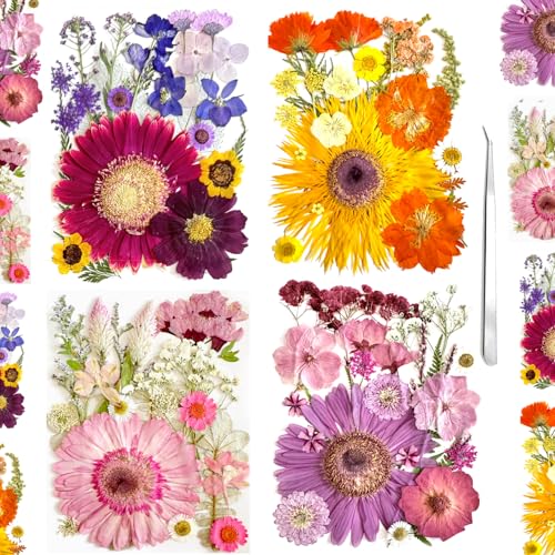 98 piezas flores secas prensadas grandes para resina miniatura 1