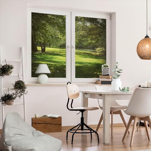 Película para ventana esmerilada decorativa 31.5x55.1 pulgadas x2 miniatura 5