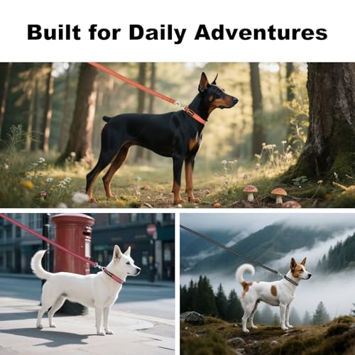Collar Reflectante para Perro PLUTUS PET Neopreno S miniatura 7